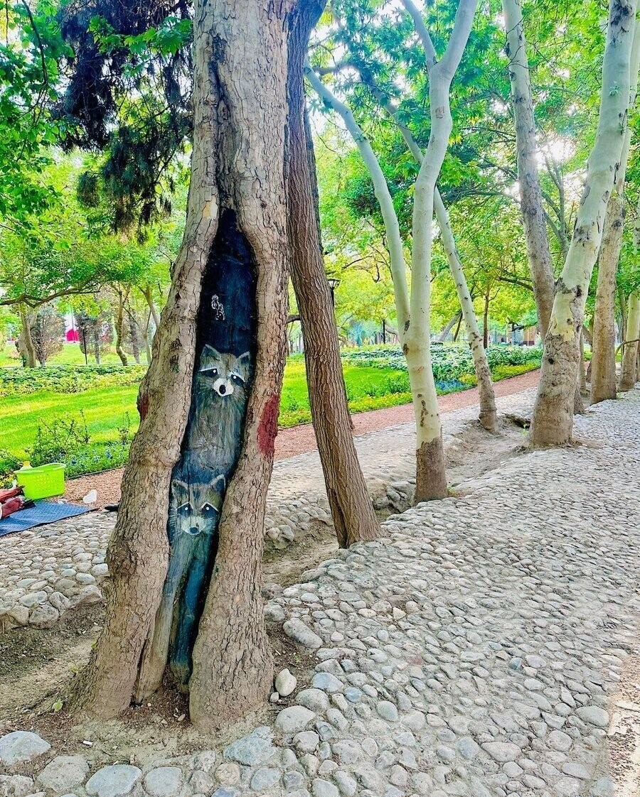 شهرداری مشهد