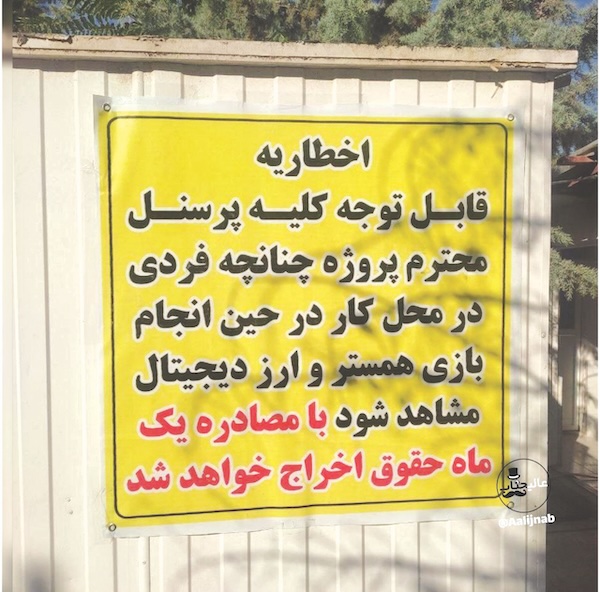 بازی همستر کامبت 