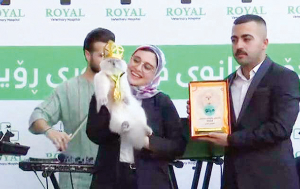 عکس 3