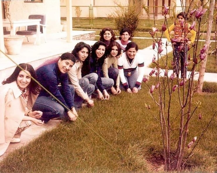 سبزه