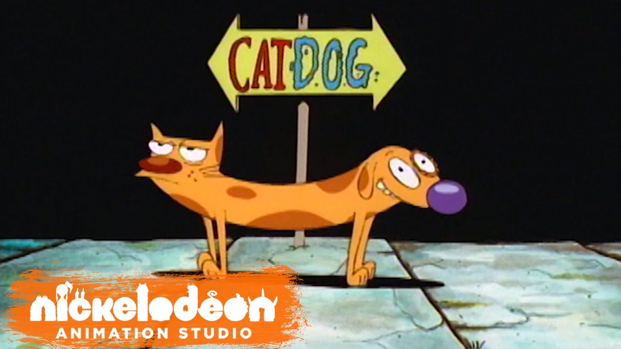 انیمیشن سریالی catdog دنیایی از خاطرات سگ و گربه‌ای