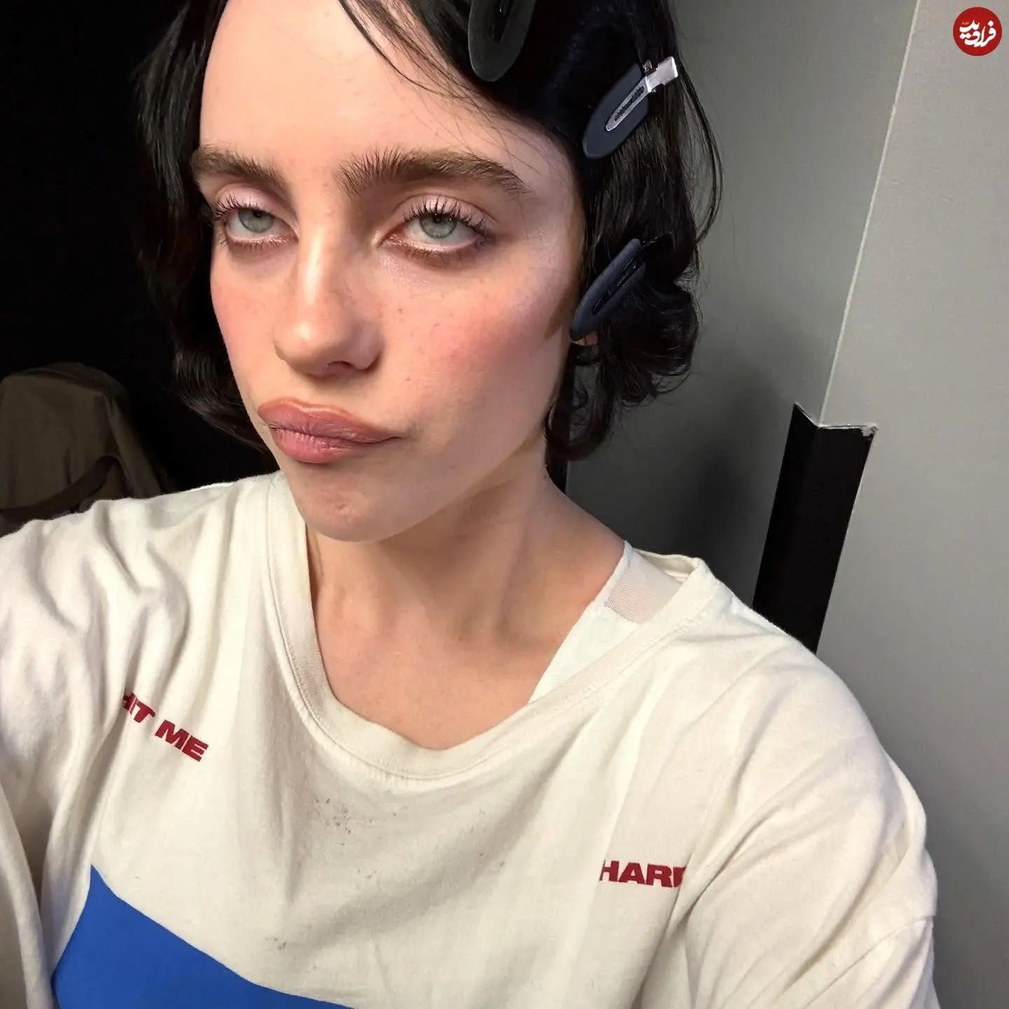 billieeilish_1755014671_3697653526470983590_28527810