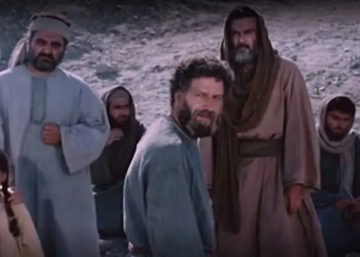 داوود شیخ