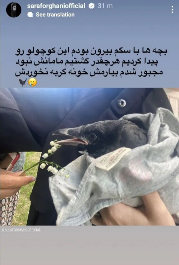 پرنده