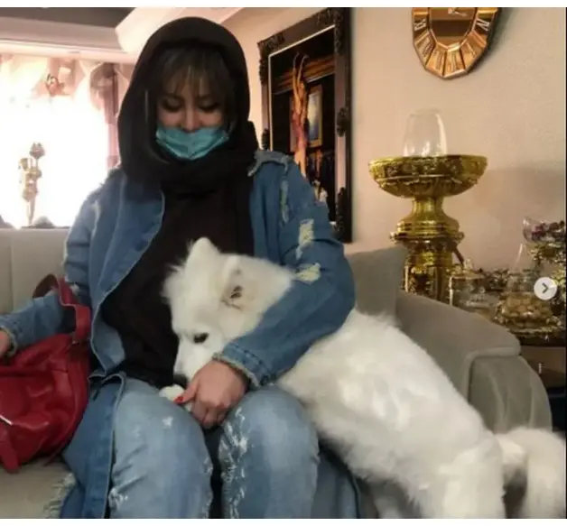 شراره رخام