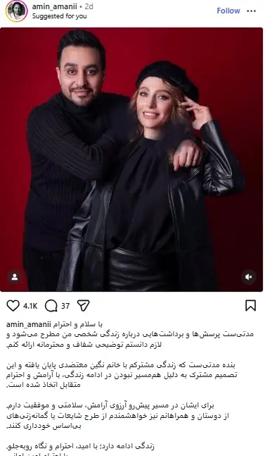 نگین معتضدی و امین امانی