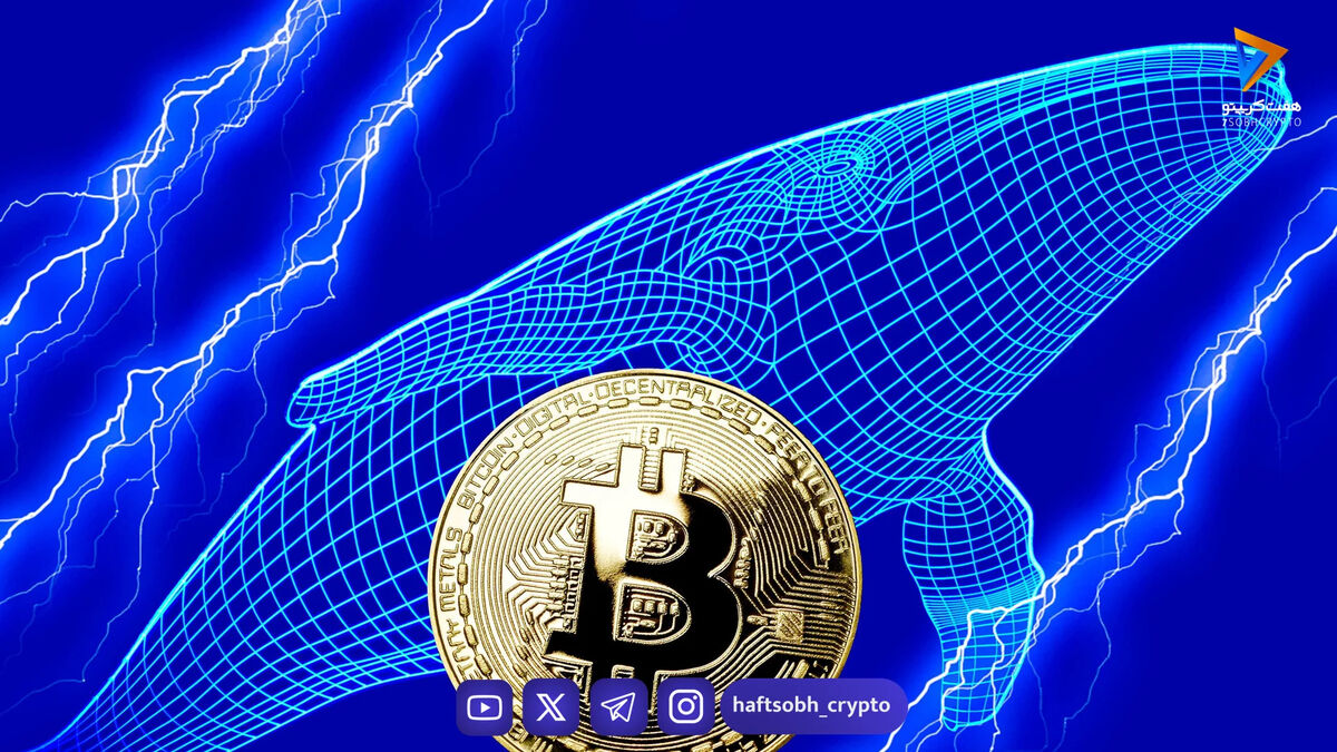 نهنگ معروف بیت‌کوین روی رشد قیمت بیت‌کوین، اتریوم و سولانا شرط‌بندی می‌کند