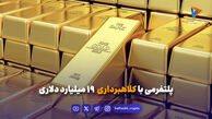 پلتفرمی با کلاهبرداری ۱۹ میلیارد دلاری