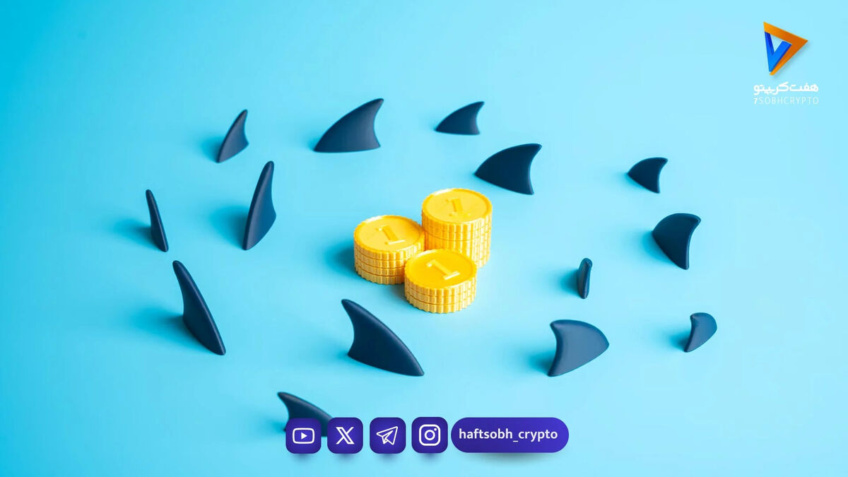 نهنگ‌های اتریوم در سکوت بازار چه نقشه‌ای می‌کشند؟ انباشت بی‌سروصدای ETH در اوج ریزش ۶ هفته‌ای