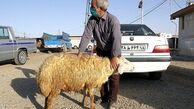 گوسفند بده پژو بگیر!
