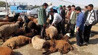 ابتلای ۴ ایرانی به یک بیماری خطرناک؛ مرگ یک نفر تایید شد