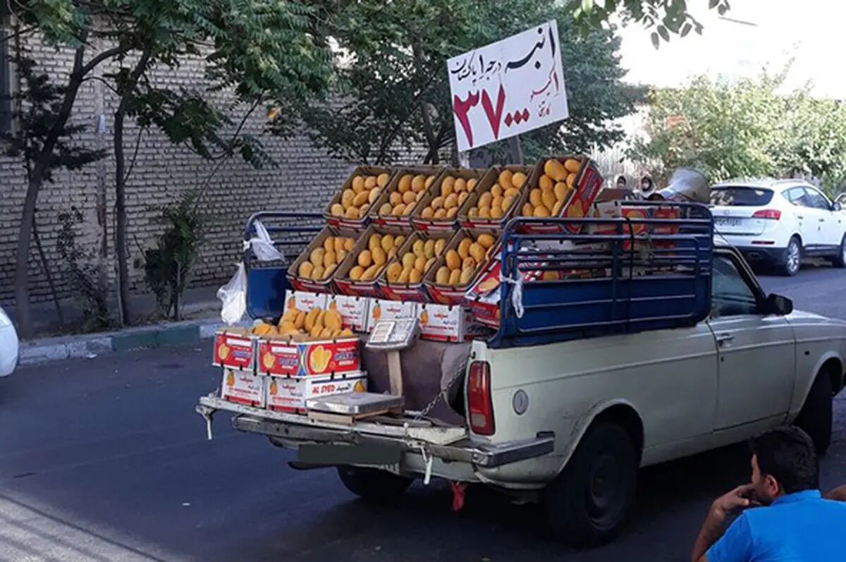فروش انبه با وانت