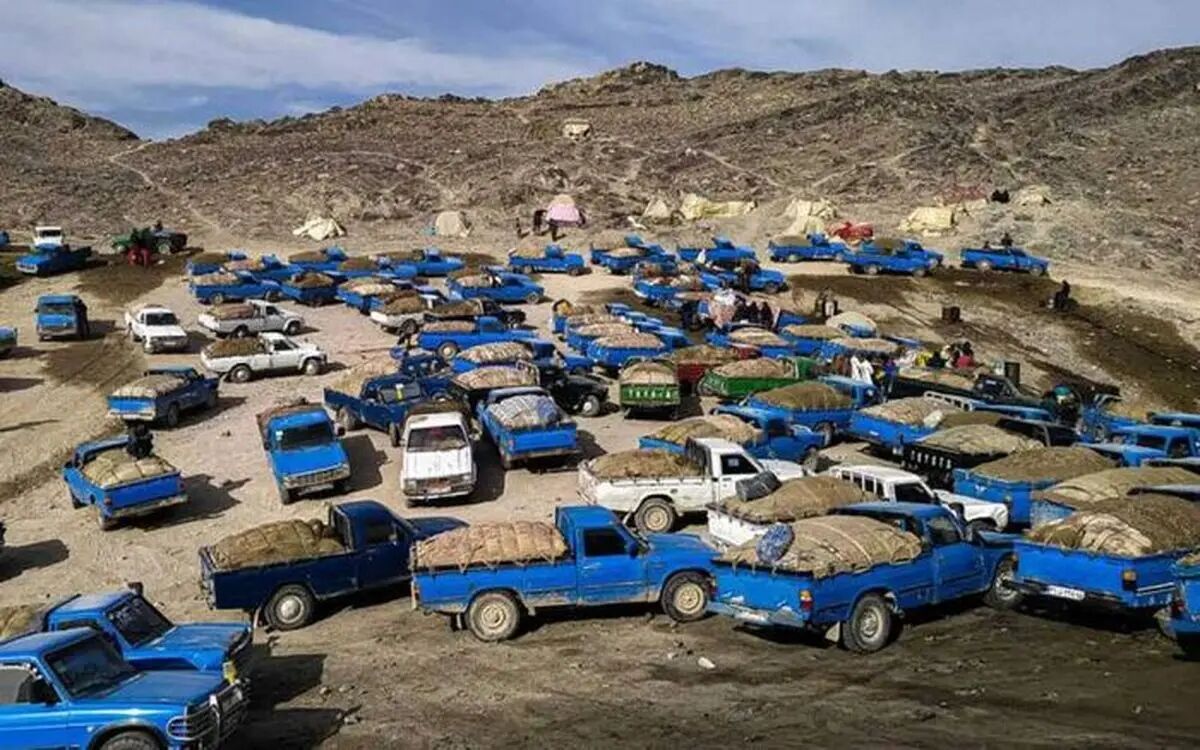 کنایه پزشکیان به گم شدن ۲۰ میلیون لیتر سوخت در روز