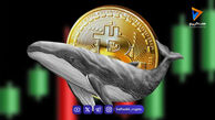 بیدار شدن نهنگ‌های قدیمی بیت کوین و جابجایی ۷۹۳ واحد btc