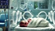 نقش پنهان باکتری‌های روده نوزاد در بروز دیابت