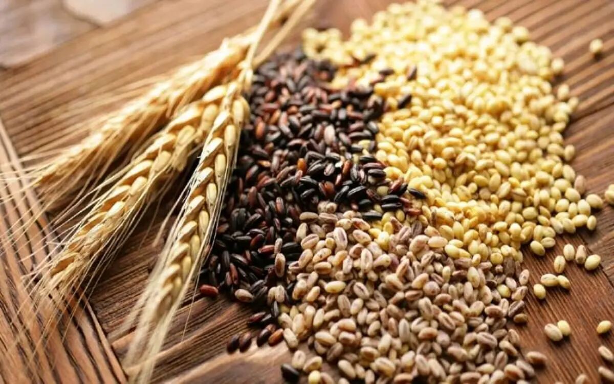 این غلات کلسترول خون را کاهش می‌دهند