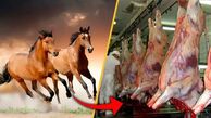 11 تن گوشت اسب در سنندج کشف شد