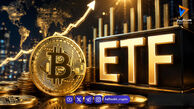 وال‌استریت در انتظار موج صعودی جدید؛ ETFهای بیت‌کوین رکورد ۹ ماهه را شکستند