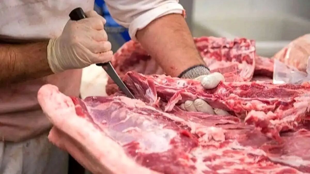 قیمت باورنکردنی گوشت در بازار  – رشد چشمگیر واردات در سال ۱۴۰۳