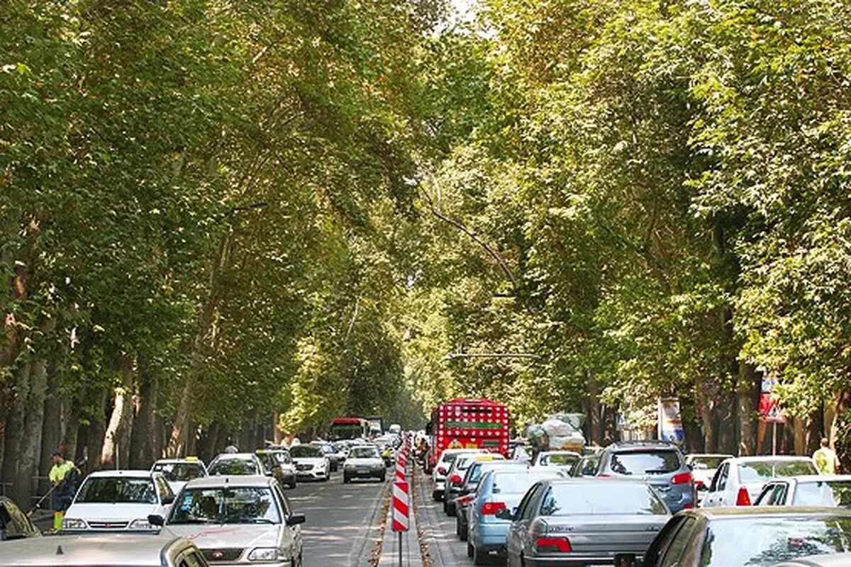 از هفت تیر‌تا پارک وی با آقا رضا