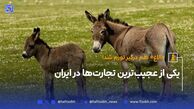 «الاغ» هم درگیر تورم شد‌!