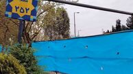 ماجرای کشف گنج با شکوه در قطعه ۲۵۲ بهشت زهرا