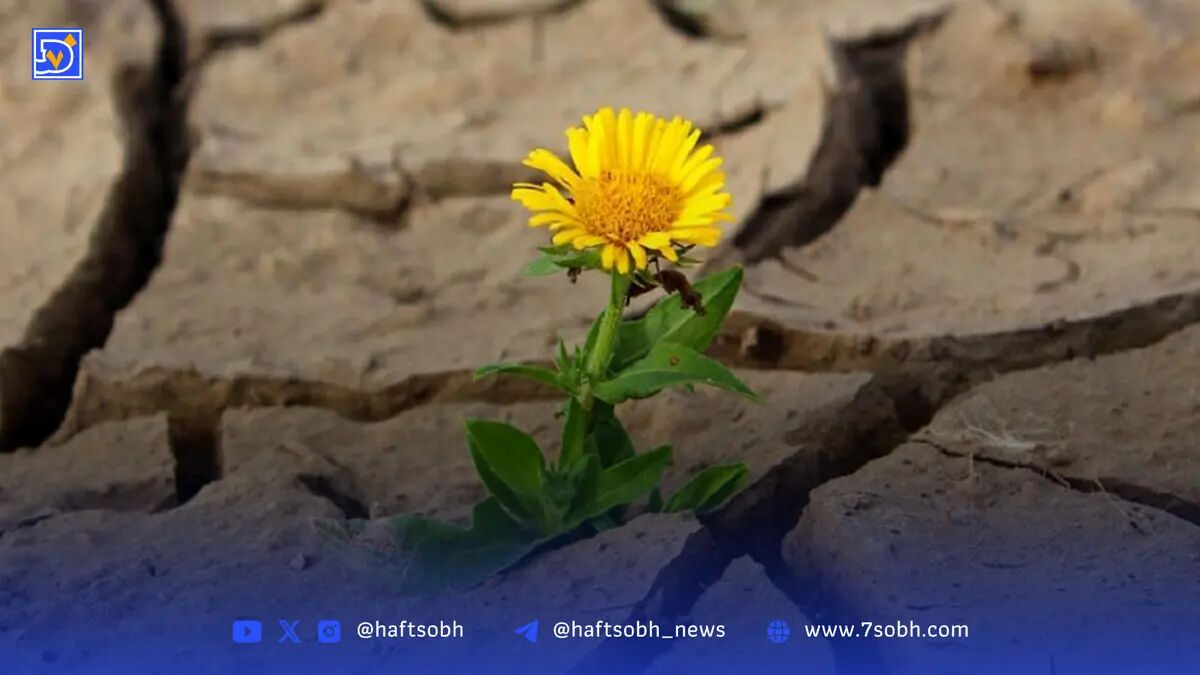 بازگشت به زندگی از مسیر مرگ استعاری