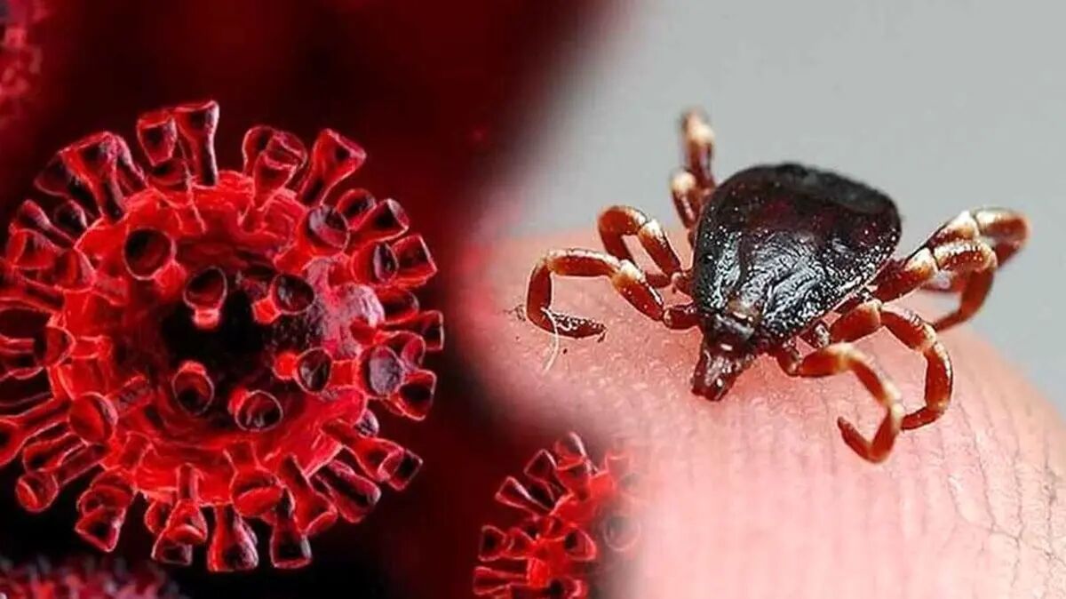 مرگ یک ایرانی بر اثر بیماری خطرناک؛ زنگ هشدار برای سلامت عمومی
