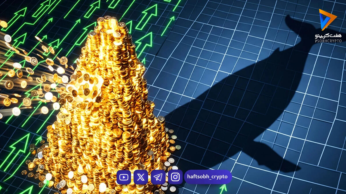 رکوردشکنی لجر XRP؛ جهش شدید فعالیت شبکه و انباشت بی‌سابقه توسط نهنگ‌ها