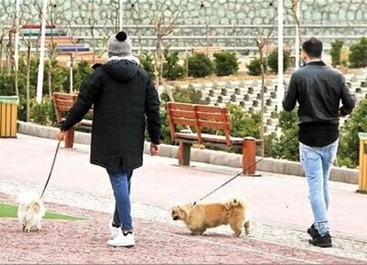 سگ‌گردانی در سطح شهر ممنوع شد