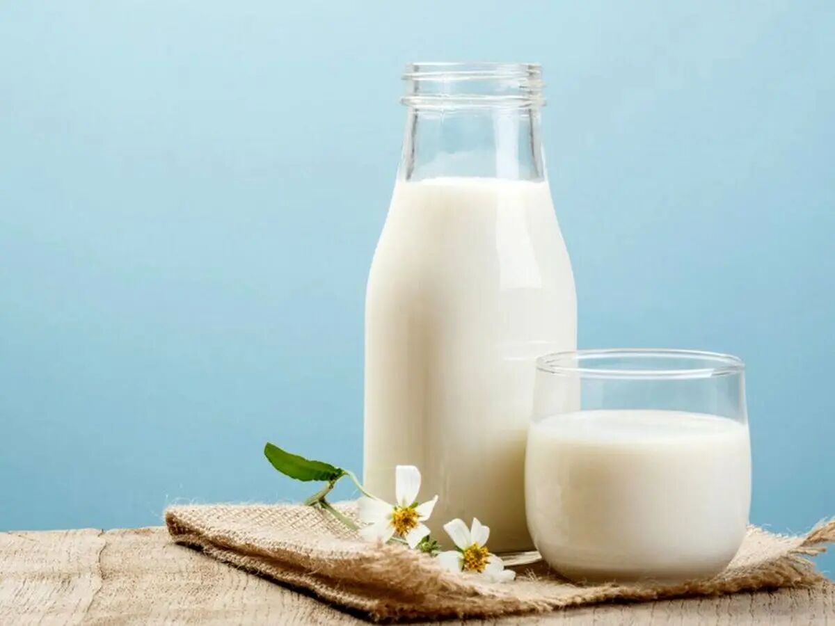 قبل از خواب، شیر گرم بخوریم یا سرد؟  + توضیحات