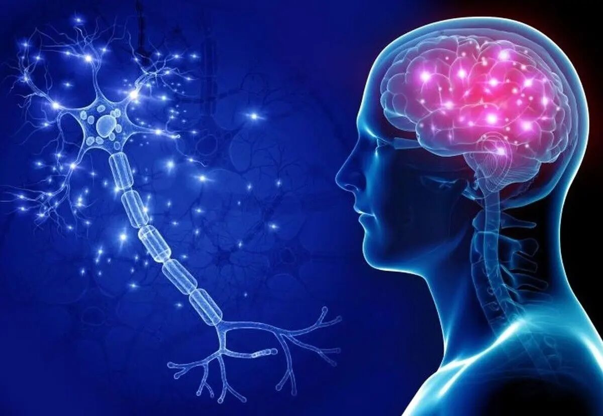 رتبه ایران در جدیدترین رتبه‌بندی IQ کشورها