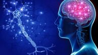 رتبه ایران در جدیدترین رتبه‌بندی IQ کشورها