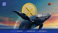 تحلیل افت قیمت XRP و تأثیر انتقال بزرگ بنیان‌گذار ریپل بر بازار رمزارز