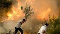 ۳۵ هکتار از مراتع بلده مازندران خاکستر شد