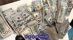 پیش بینی قیمت دلار فردا یکشنبه 3 خرداد 1405 / تعلیق دلار در فضای مذاکرات