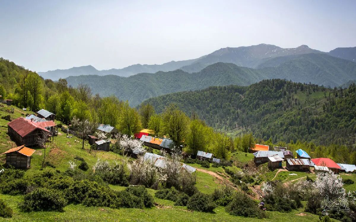 بی آبی دامن رشت را هم گرفت