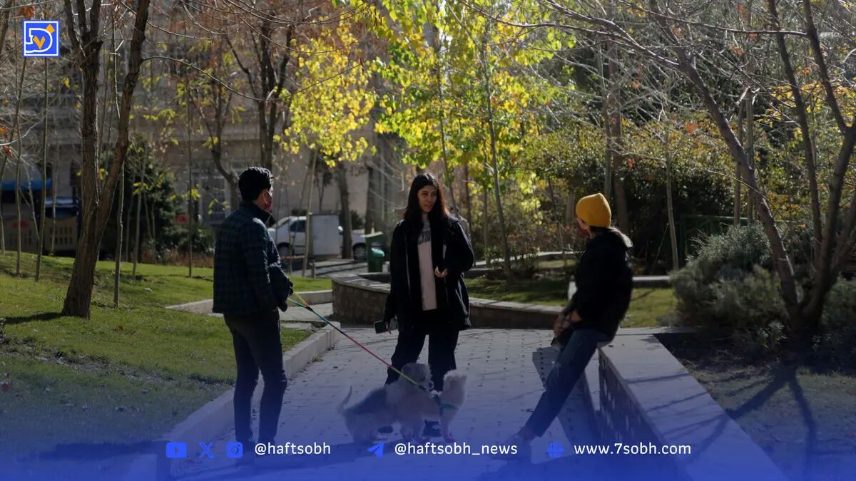 پدیده داگ‌ واکرها؛ از سگ‌های سرابی تا خیابان‌های نیاوران