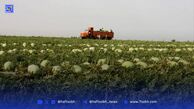 بن‌بست اشتغال؛ بیماری خاموش اقتصاد ایران