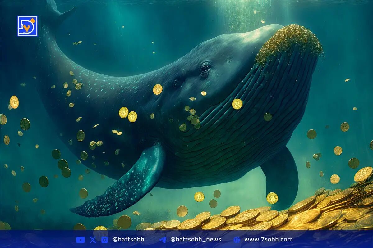 کاهش قیمت بیت‌کوین و اتریوم به دلیل فروش نهنگ‌ها و افزایش ورود معامله‌گران خرد