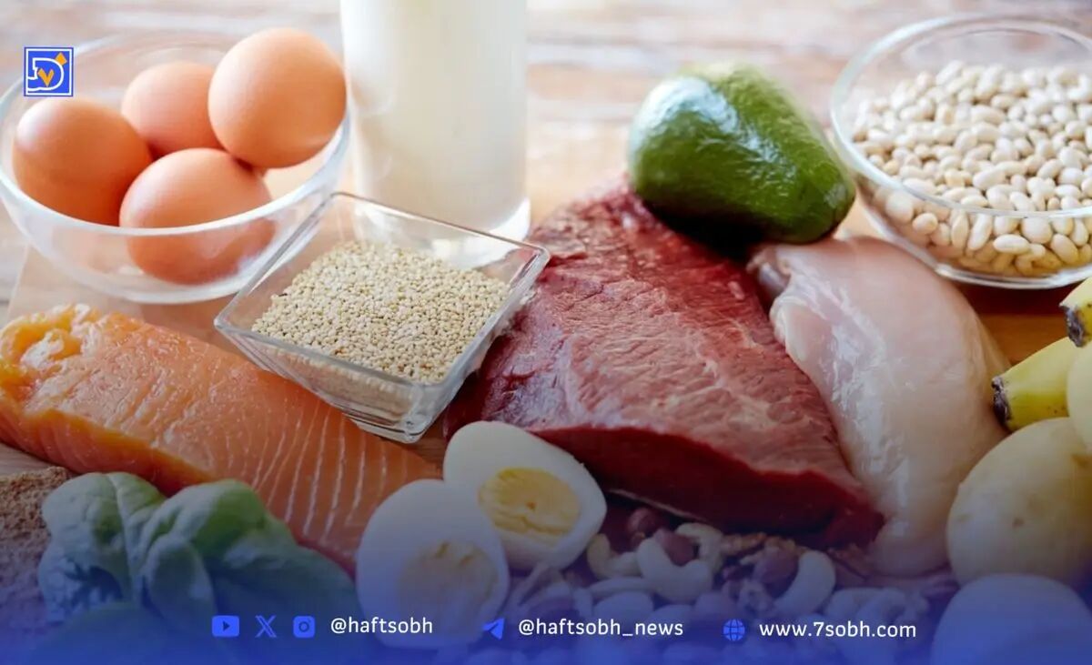 روزانه چقدر پروتئین نیاز داریم و آیا مصرف بیش‌ازحد آن مضر است؟