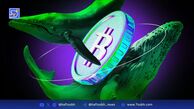 سقوط ناگهانی بیت‌کوین و نقش نهنگ‌های قدیمی در بازار رمزارز