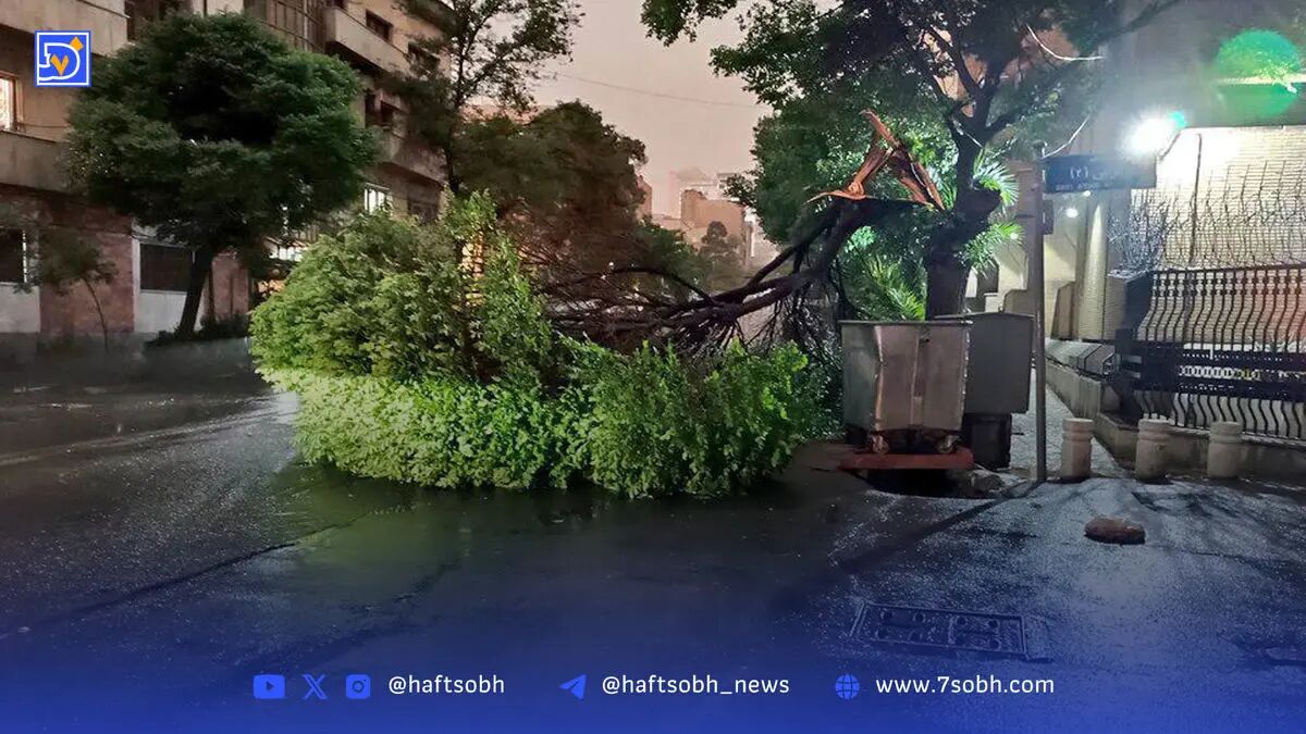 وزش باد ۱۲۰ روزه و طوفان در شرق