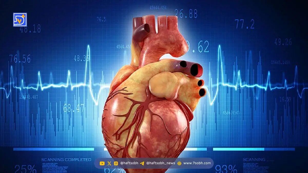 کدام چربی‌ها برای قلب شما مفیدند؟