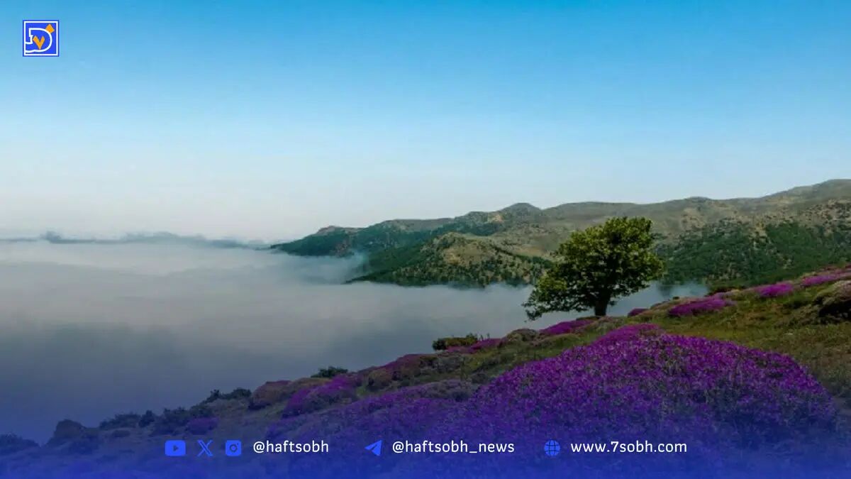 سفری تابستانی به گنجینه‌های بکر ایران(عکس)