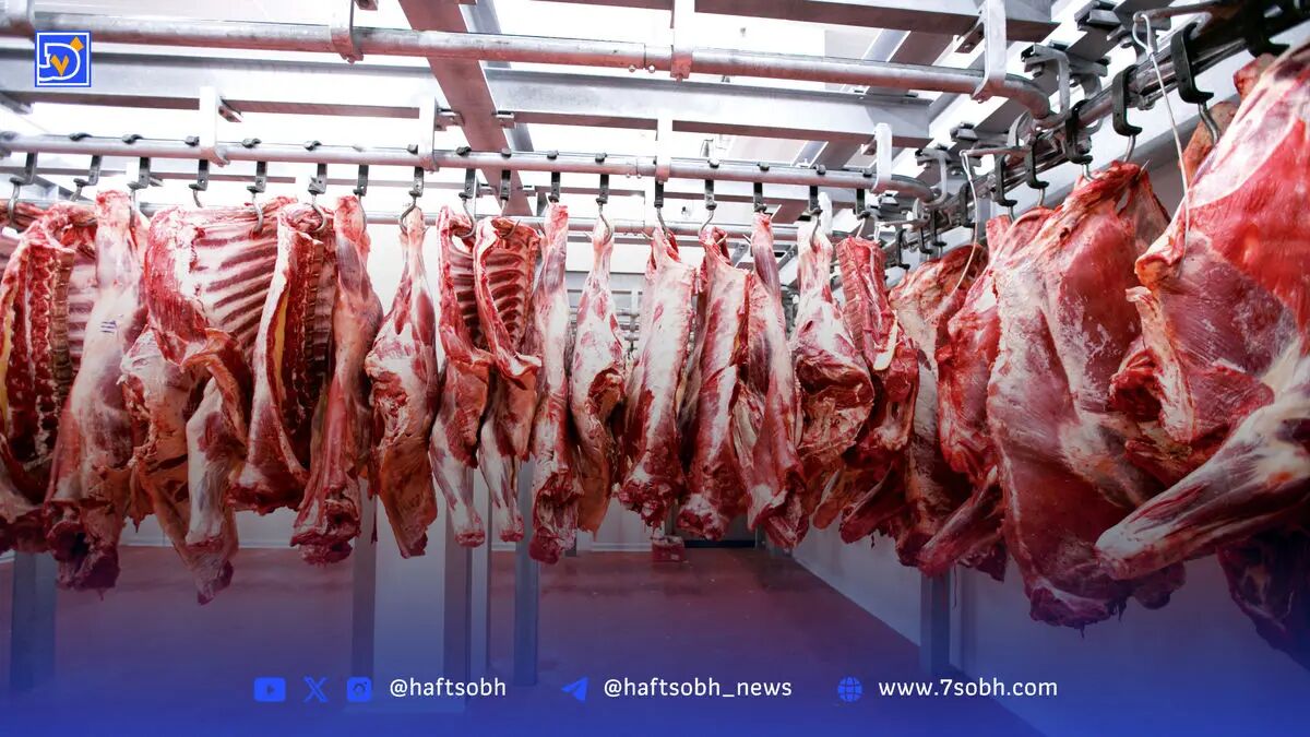 بهترین جایگزین‌های سالم برای گوشت قرمز