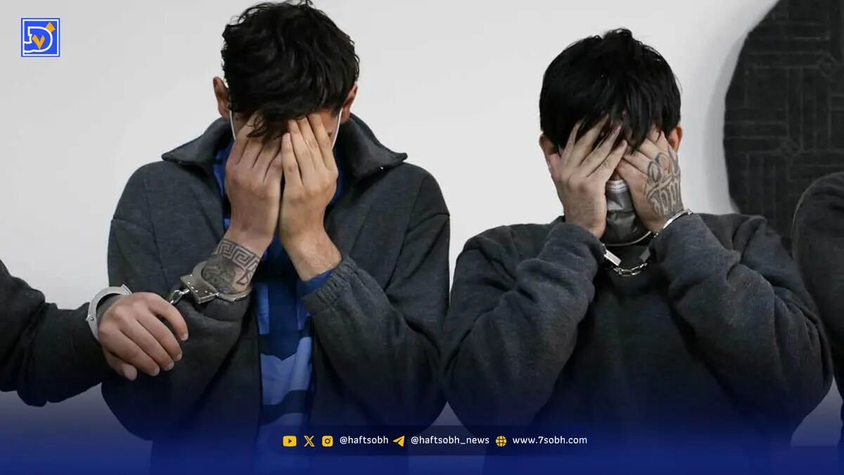 از سرم تا نانچی‌کو، از مخدر تا جنایت در باغ