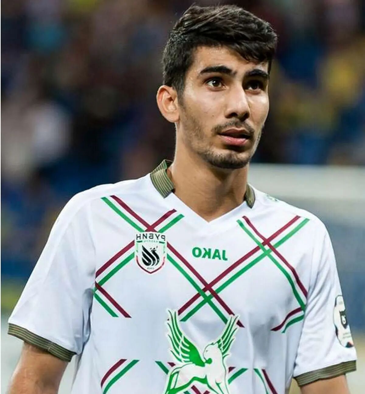 بیوگرافی آسو همسر روسی رضا شکاری