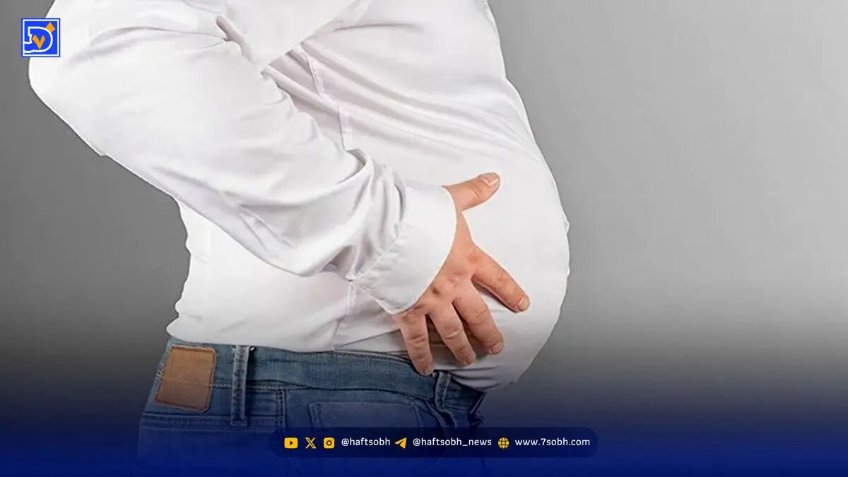 عامل چاقی شکم و پهلو این 10 خوراکی است