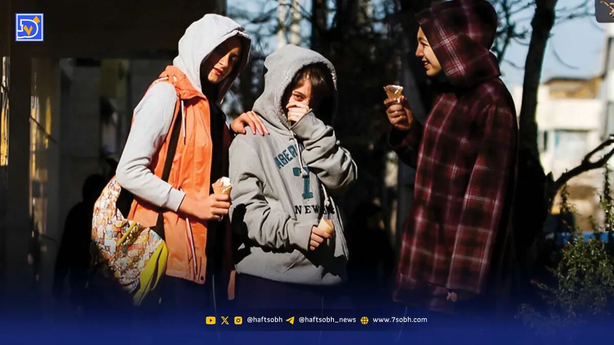 الیاس حضرتی، رئیس شورای اطلاع‌رسانی دولت در حکمی امیررضا احمدی را به‌عنوان مشاور رئیس شورا در امور نسل Z منصوب کرد